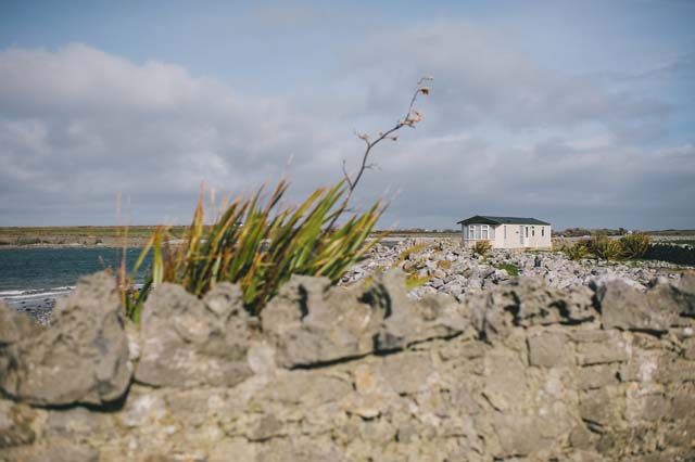 VW Bus elope to Ireland