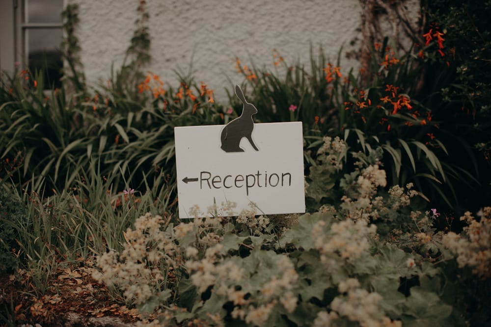 a picture with a rabit and the word reception