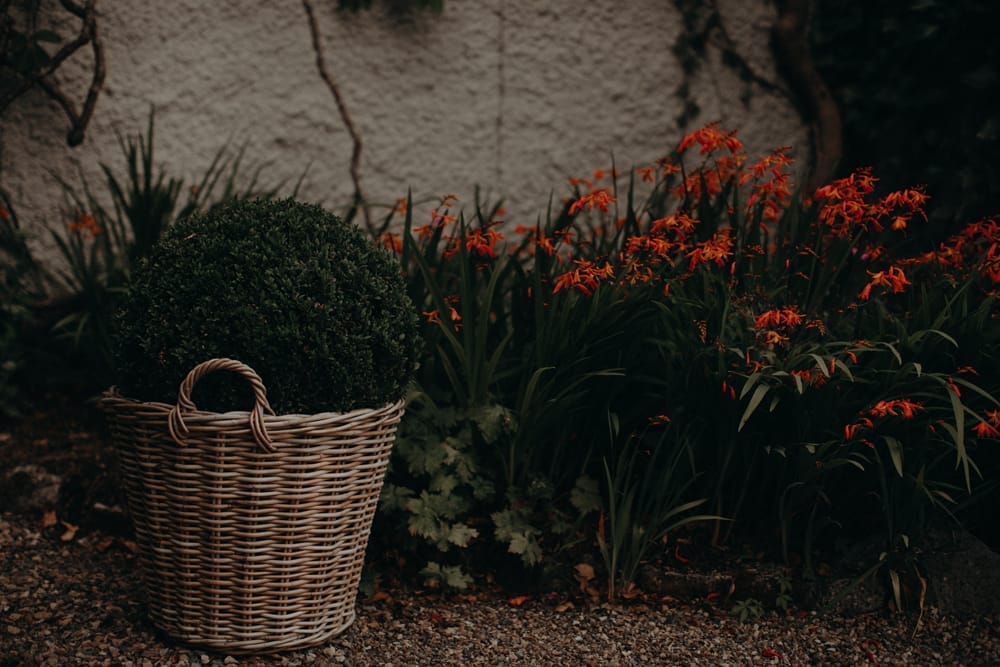 Moody Dreamy Elopement 