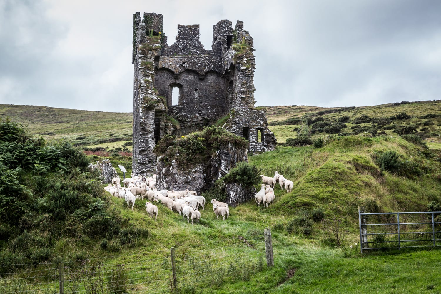 dingle castle elopement elope to ireland