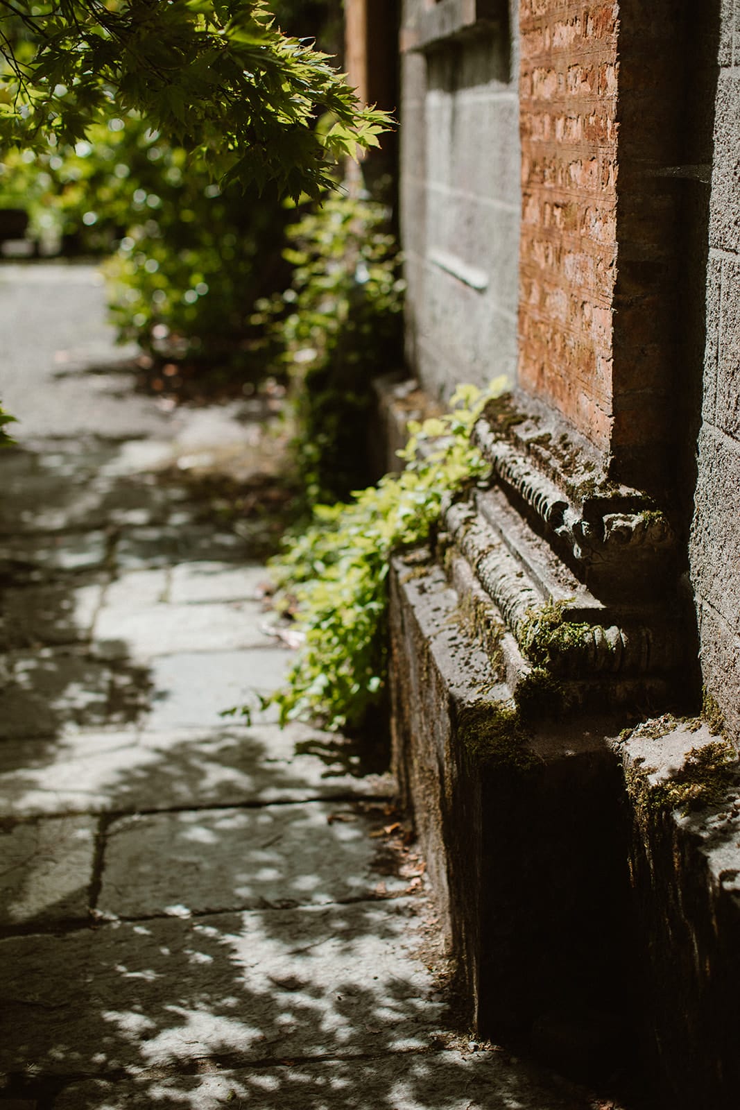 Celtic Ruins and Bantry House Elopement